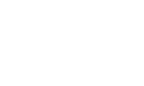 NeoPro Logo